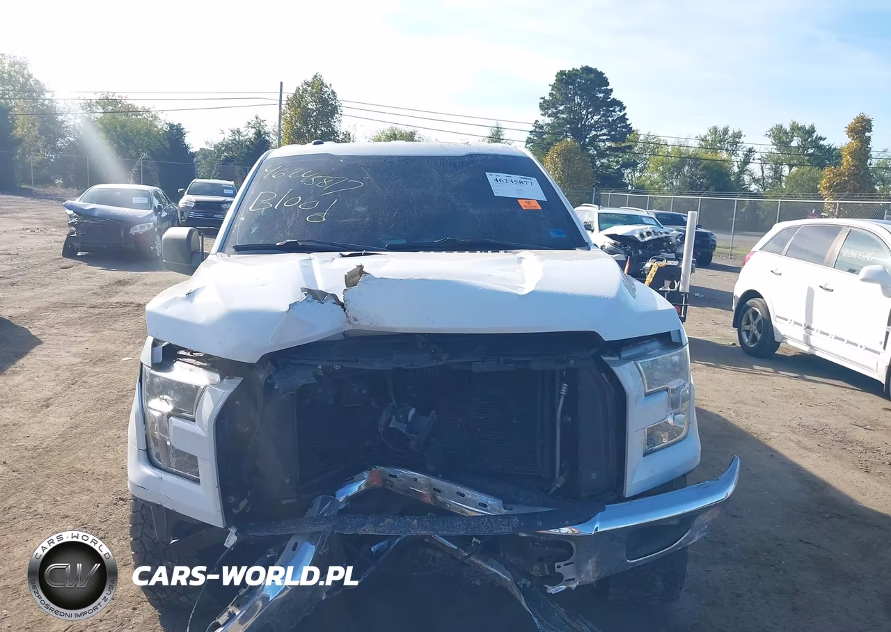 2016 Ford F-150 Xlt VIN:1FTEW1CF4GFC59429 - 12