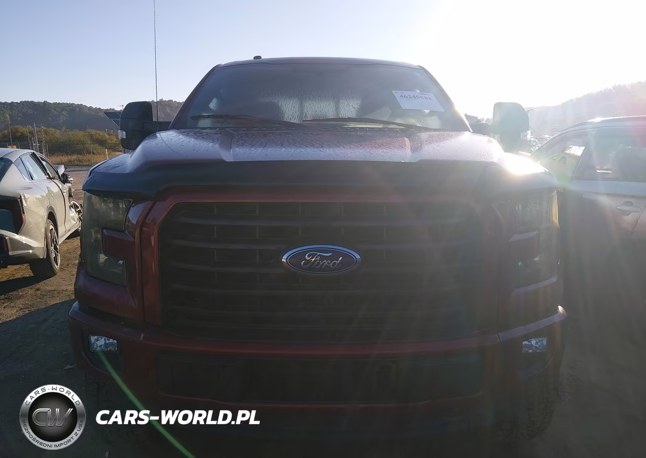 2017 Ford F-150 Xlt VIN:1FTFW1EG1HFC64244 - 12
