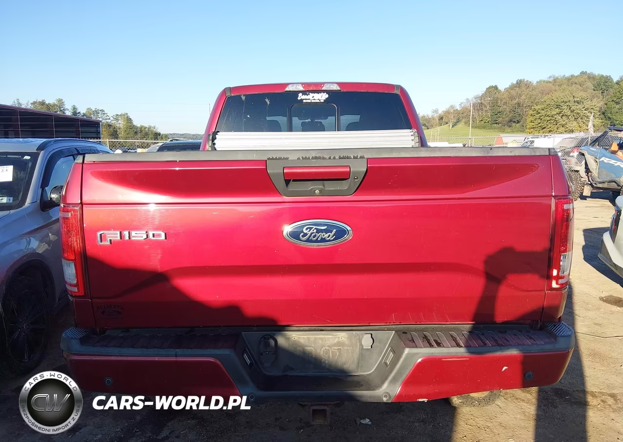 2017 Ford F-150 Xlt VIN:1FTFW1EG1HFC64244 - 16