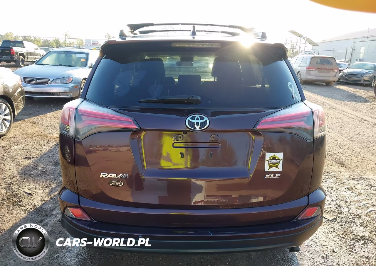 2016 Toyota Rav4 Xle VIN:2T3RFREV1GW427398 - 16