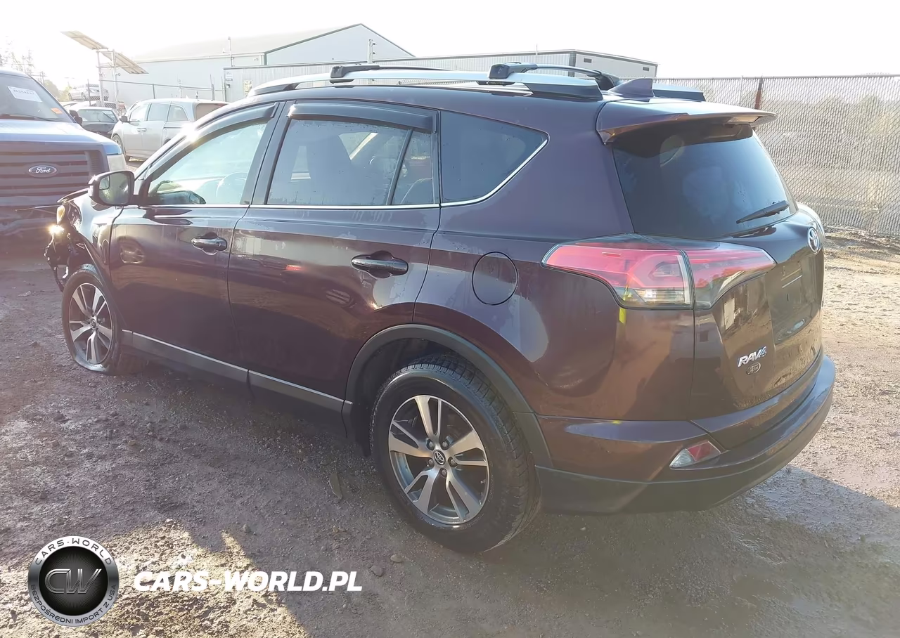 2016 Toyota Rav4 Xle VIN:2T3RFREV1GW427398 - 3