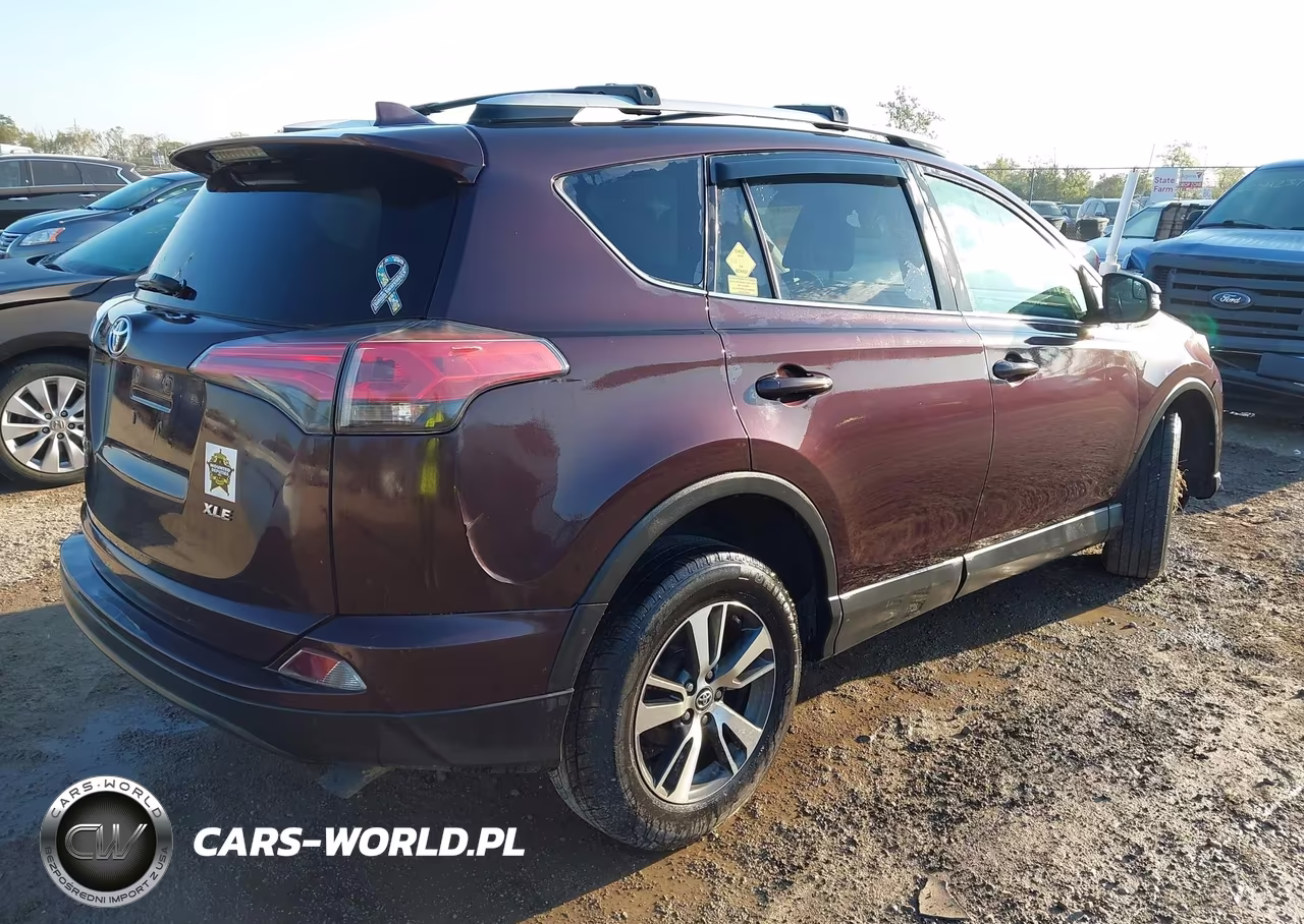 2016 Toyota Rav4 Xle VIN:2T3RFREV1GW427398 - 4