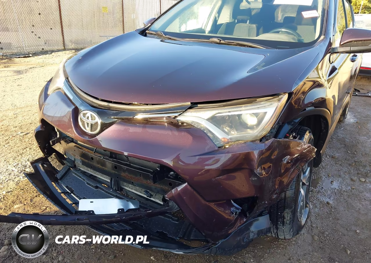 2016 Toyota Rav4 Xle VIN:2T3RFREV1GW427398 - 6