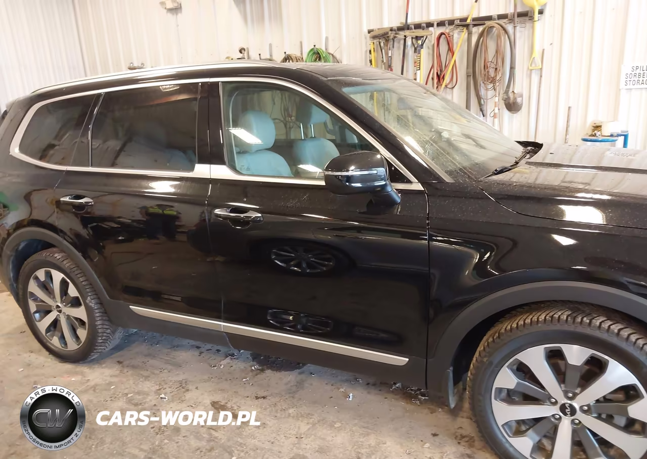 2022 Kia Telluride S VIN:5XYP6DHC8NG253684 - 13