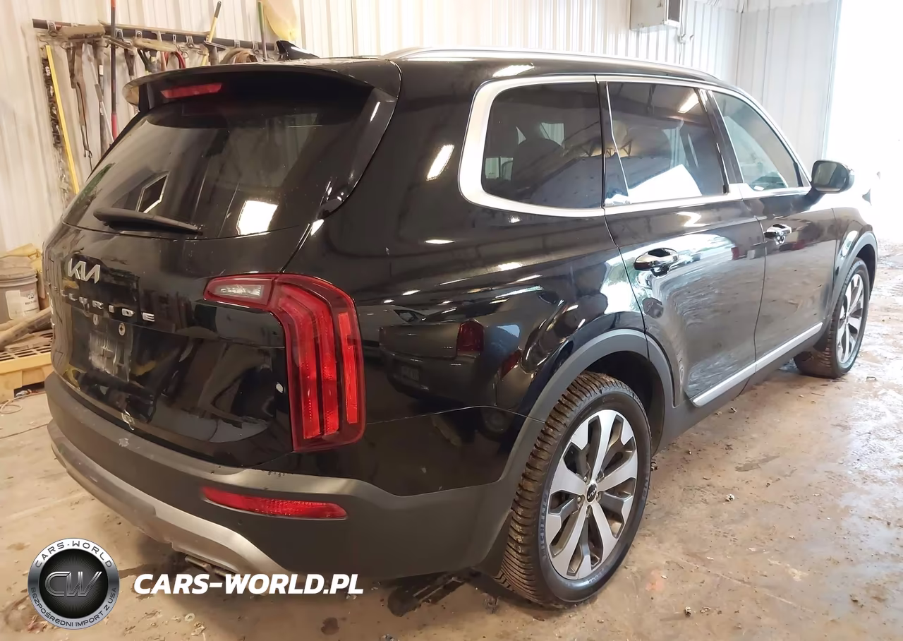 2022 Kia Telluride S VIN:5XYP6DHC8NG253684 - 4