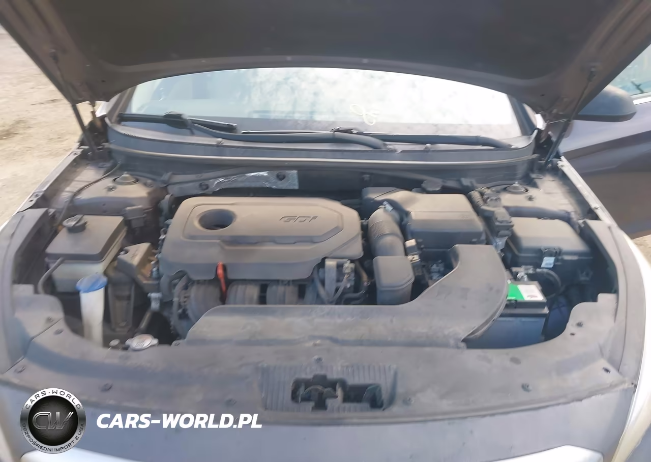 2015 Hyundai Sonata Se VIN:5NPE24AF9FH214586 - 10