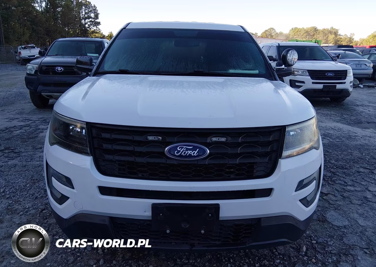 2019 Ford Police Interceptor Utility VIN:1FM5K8ARXKGA32973 - 16