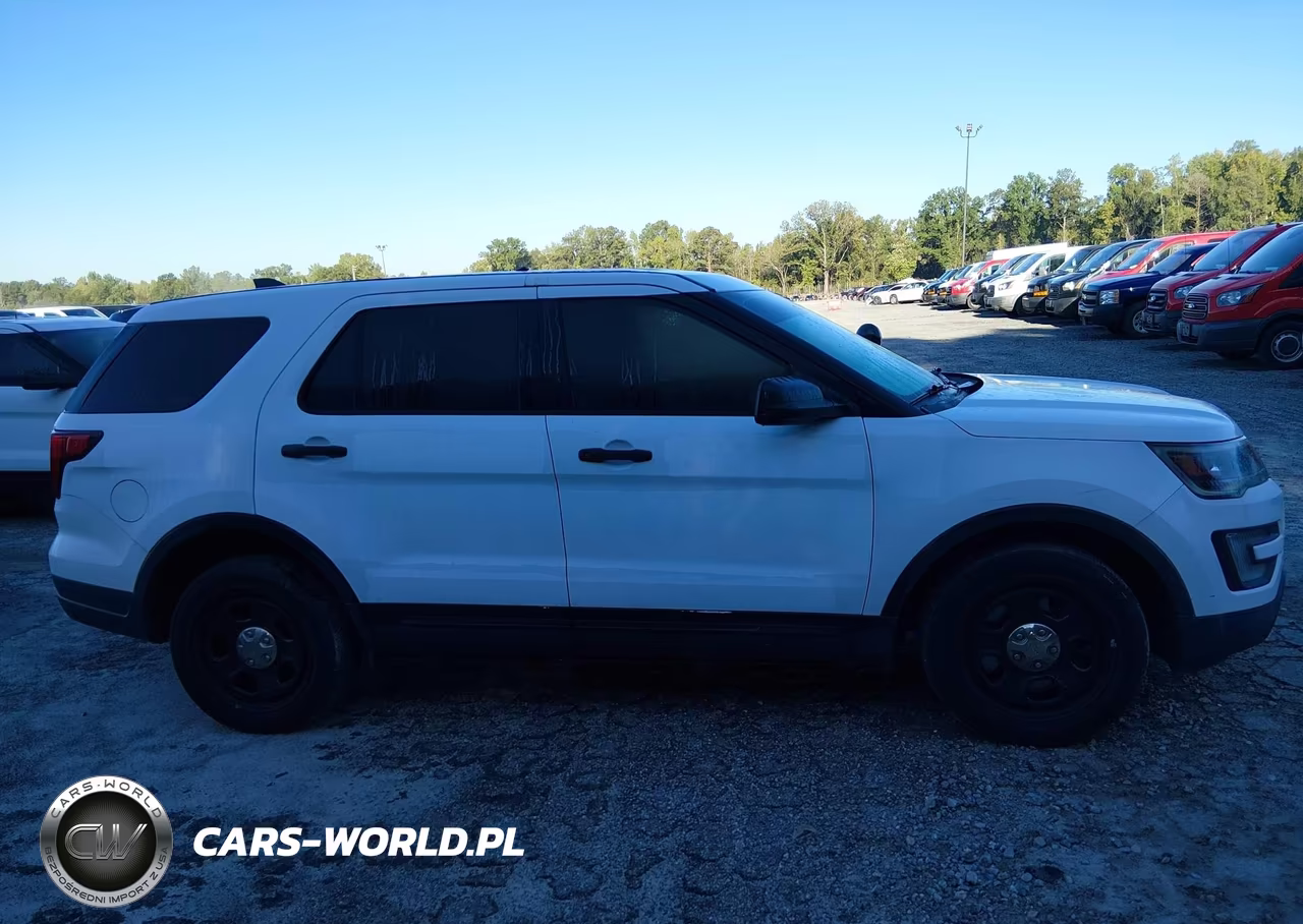 2019 Ford Police Interceptor Utility VIN:1FM5K8ARXKGA32973 - 17
