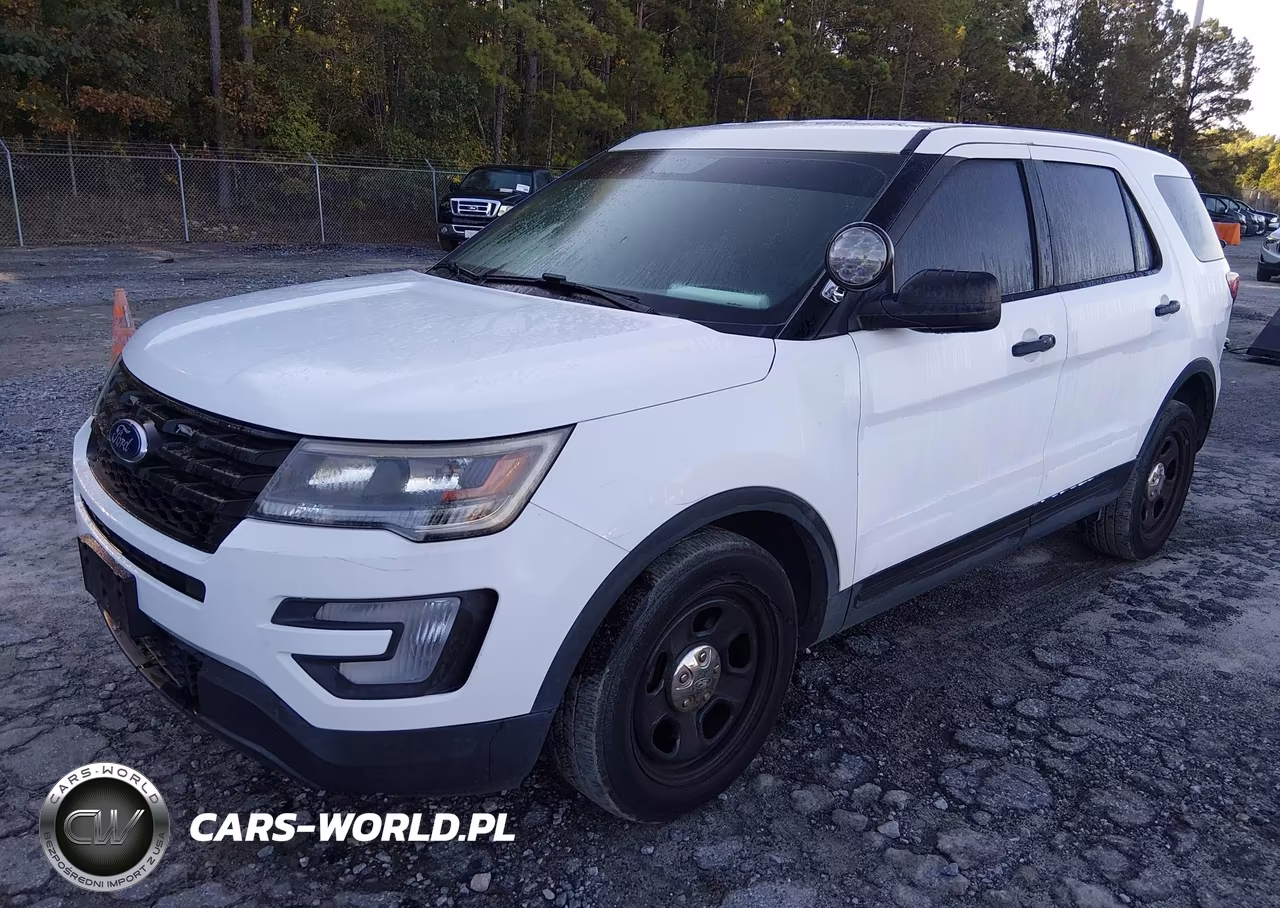 2019 Ford Police Interceptor Utility VIN:1FM5K8ARXKGA32973 - 2