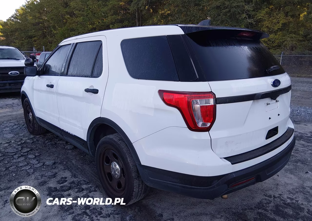 2019 Ford Police Interceptor Utility VIN:1FM5K8ARXKGA32973 - 3
