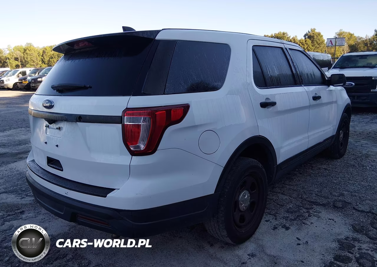 2019 Ford Police Interceptor Utility VIN:1FM5K8ARXKGA32973 - 4