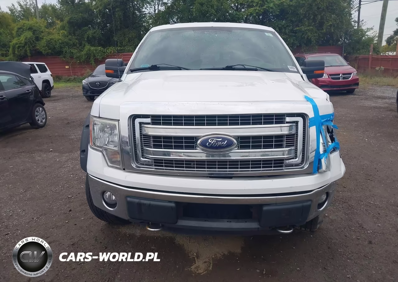 2013 Ford F-150 Xlt VIN:1FTFX1EF6DFB74490 - 12