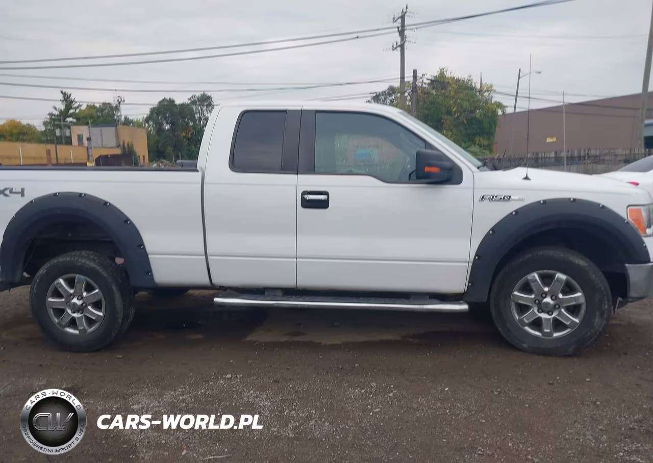 2013 Ford F-150 Xlt VIN:1FTFX1EF6DFB74490 - 13