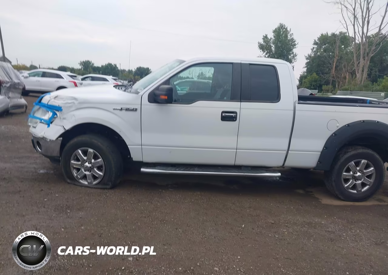 2013 Ford F-150 Xlt VIN:1FTFX1EF6DFB74490 - 14