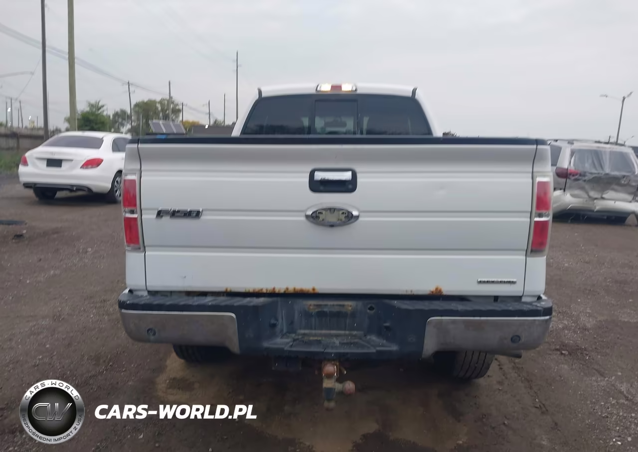 2013 Ford F-150 Xlt VIN:1FTFX1EF6DFB74490 - 16