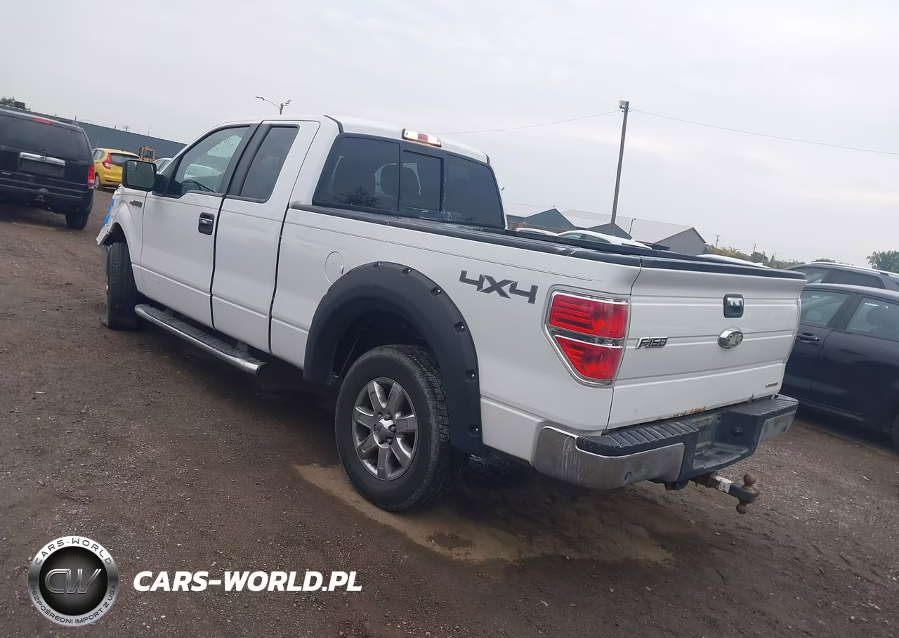 2013 Ford F-150 Xlt VIN:1FTFX1EF6DFB74490 - 3