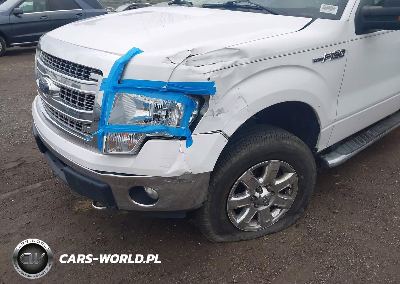 2013 Ford F-150 Xlt VIN:1FTFX1EF6DFB74490 - 6