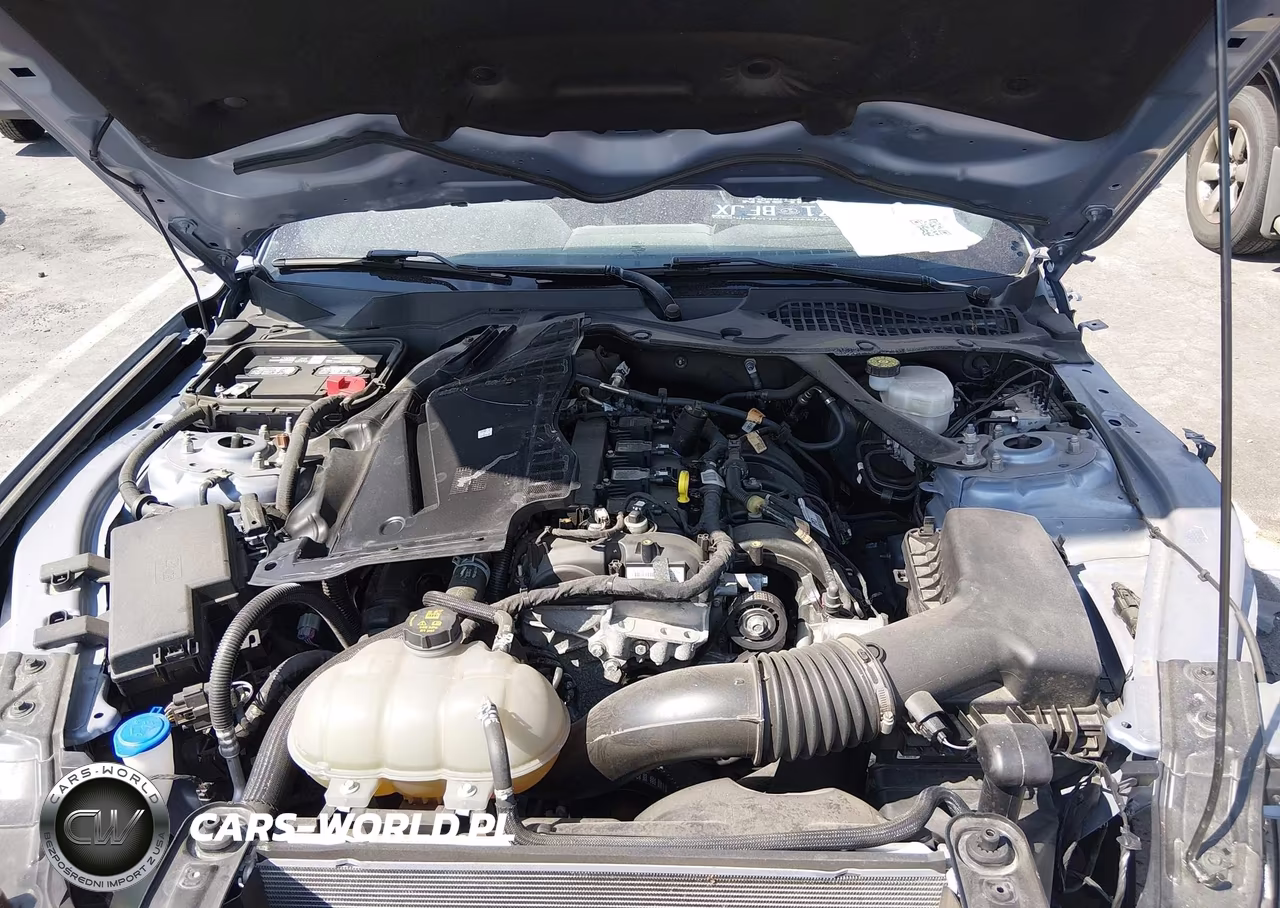 2022 Ford Mustang Ecoboost Premium VIN:1FATP8UH6N5143560 - 10