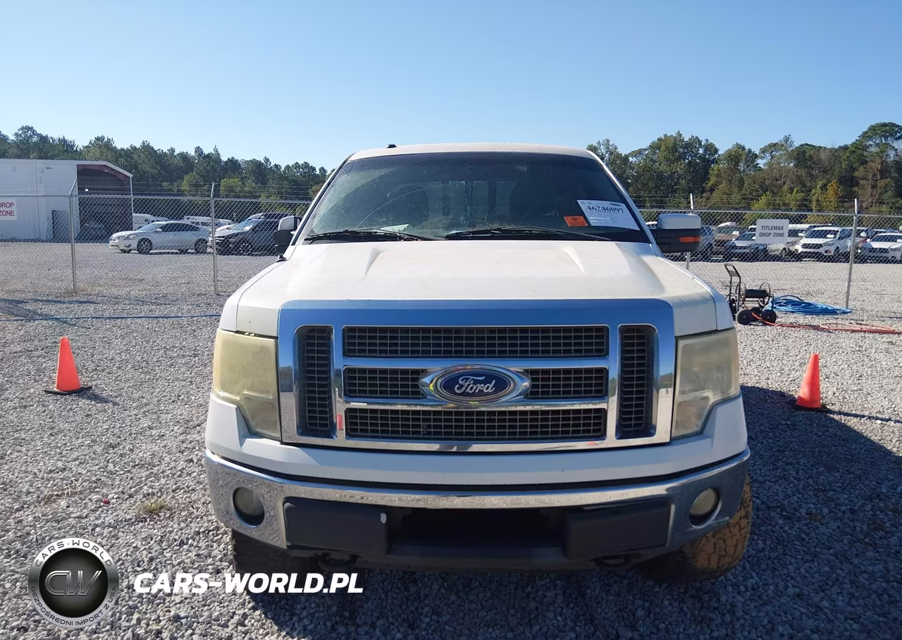 2010 Ford F-150 Fx4-Harley-Davidson-King Ranch-Lariat-Platinum-Xl-Xlt VIN:1FTFW1EV3AKA37830 - 12