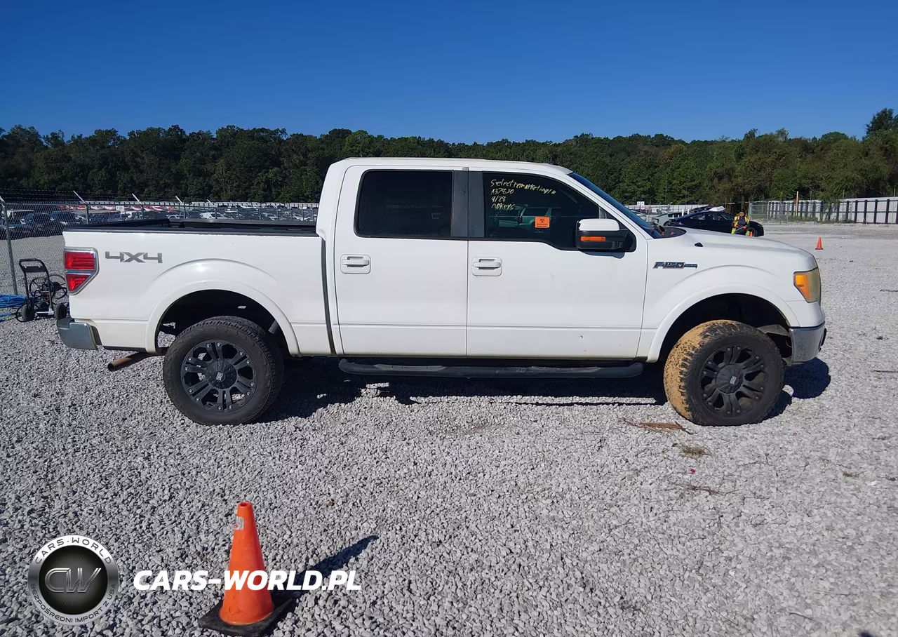 2010 Ford F-150 Fx4-Harley-Davidson-King Ranch-Lariat-Platinum-Xl-Xlt VIN:1FTFW1EV3AKA37830 - 13