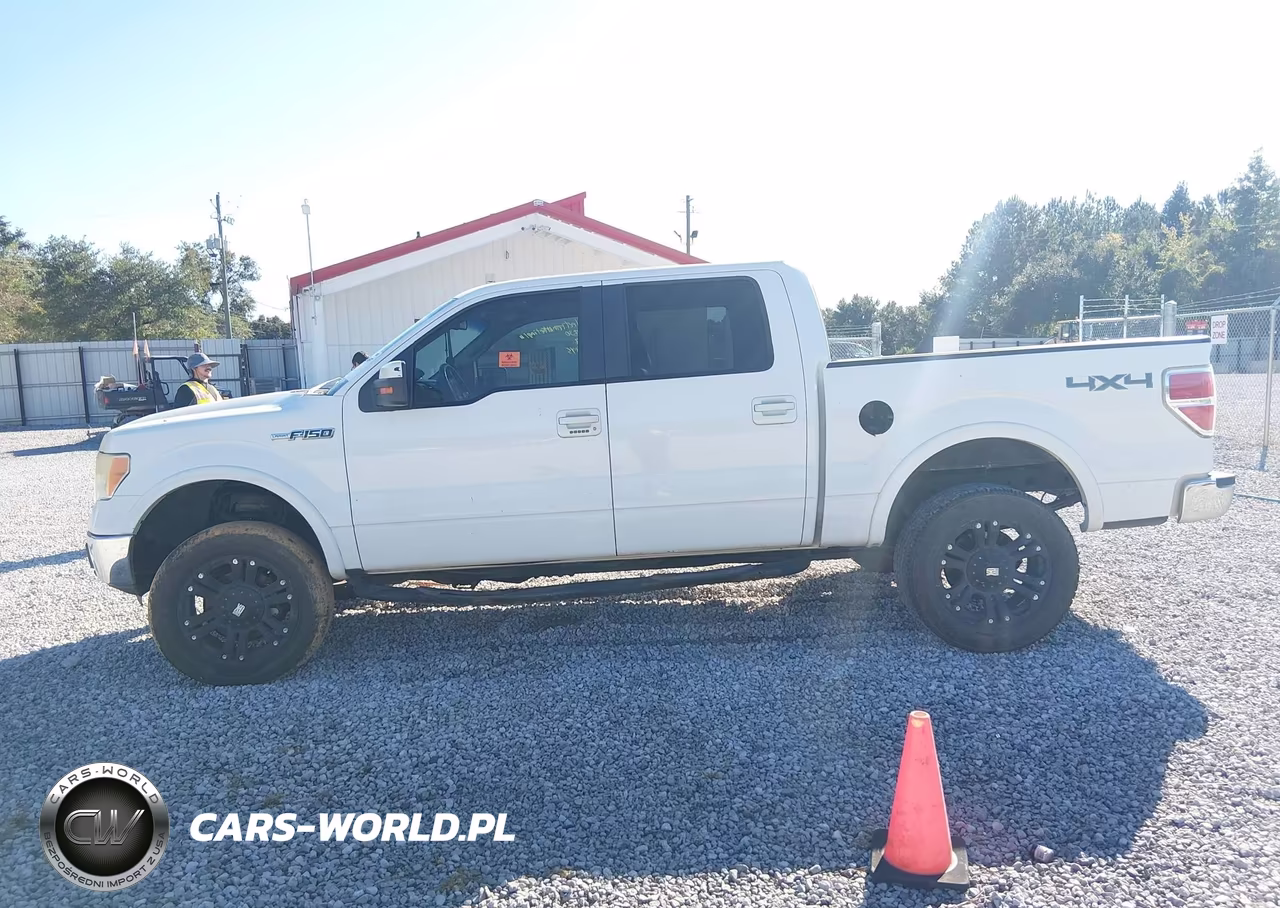 2010 Ford F-150 Fx4-Harley-Davidson-King Ranch-Lariat-Platinum-Xl-Xlt VIN:1FTFW1EV3AKA37830 - 14