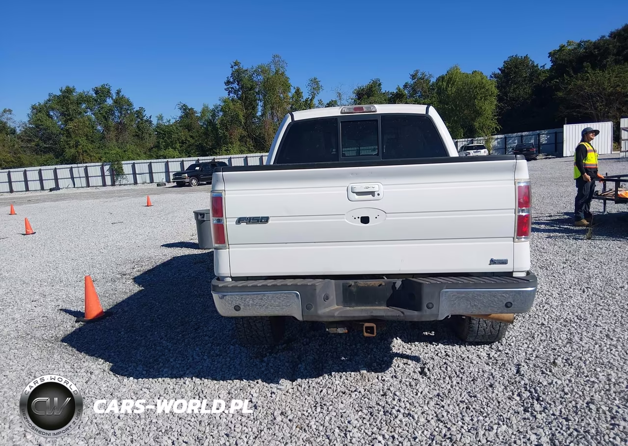 2010 Ford F-150 Fx4-Harley-Davidson-King Ranch-Lariat-Platinum-Xl-Xlt VIN:1FTFW1EV3AKA37830 - 16