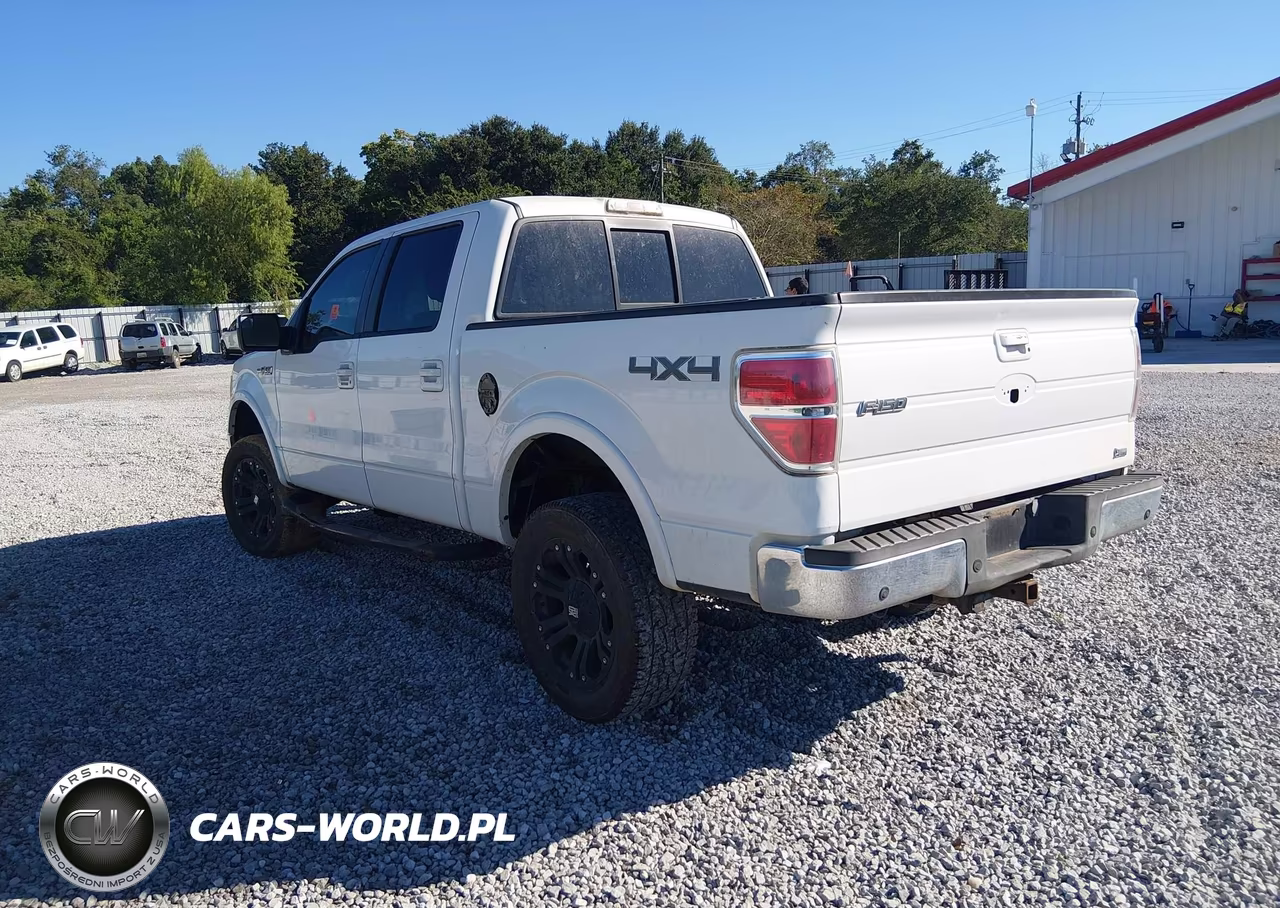 2010 Ford F-150 Fx4-Harley-Davidson-King Ranch-Lariat-Platinum-Xl-Xlt VIN:1FTFW1EV3AKA37830 - 3