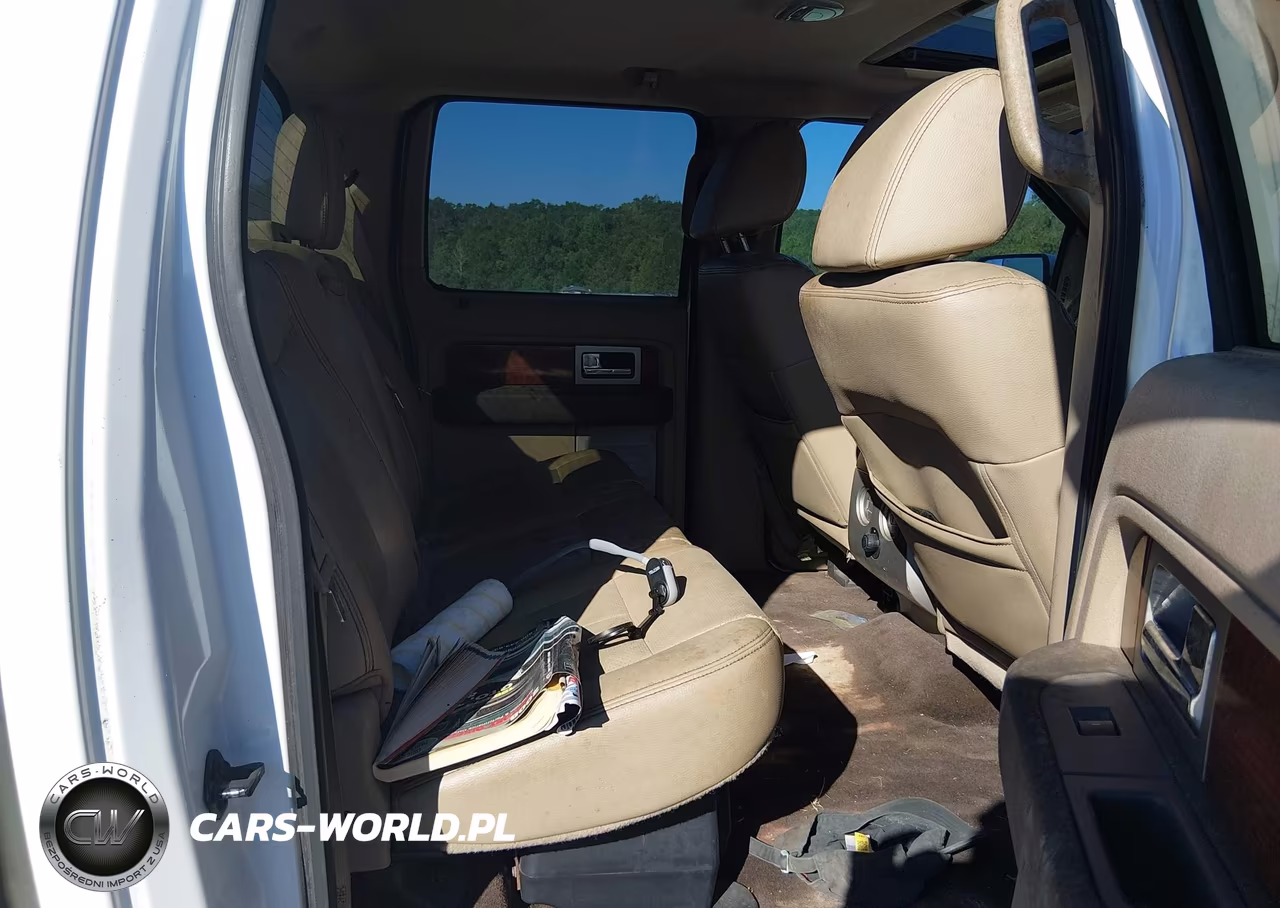 2010 Ford F-150 Fx4-Harley-Davidson-King Ranch-Lariat-Platinum-Xl-Xlt VIN:1FTFW1EV3AKA37830 - 8