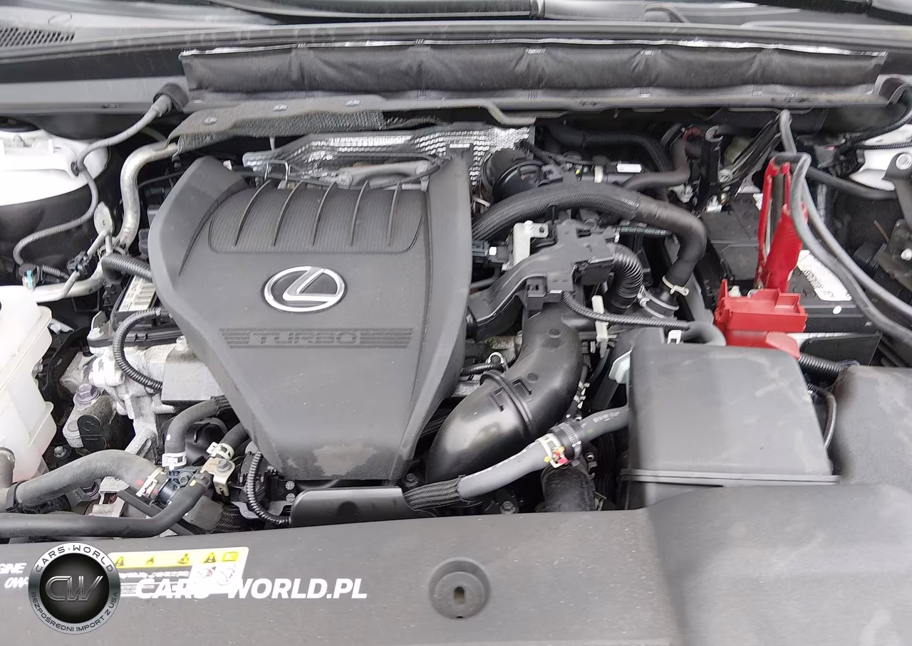 2023 Lexus Rx 350 Luxury VIN:2T2BAMCA5PC029572 - 10