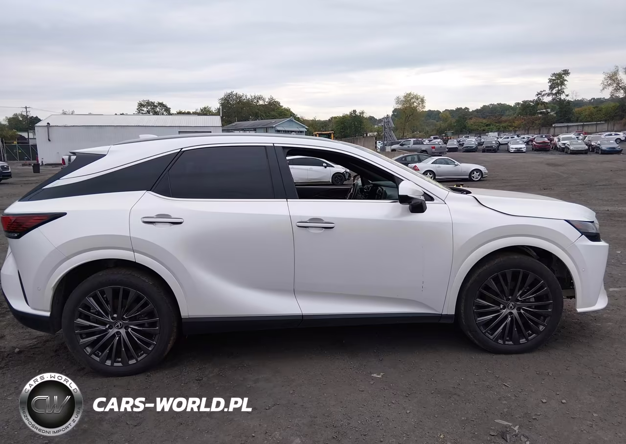 2023 Lexus Rx 350 Luxury VIN:2T2BAMCA5PC029572 - 13