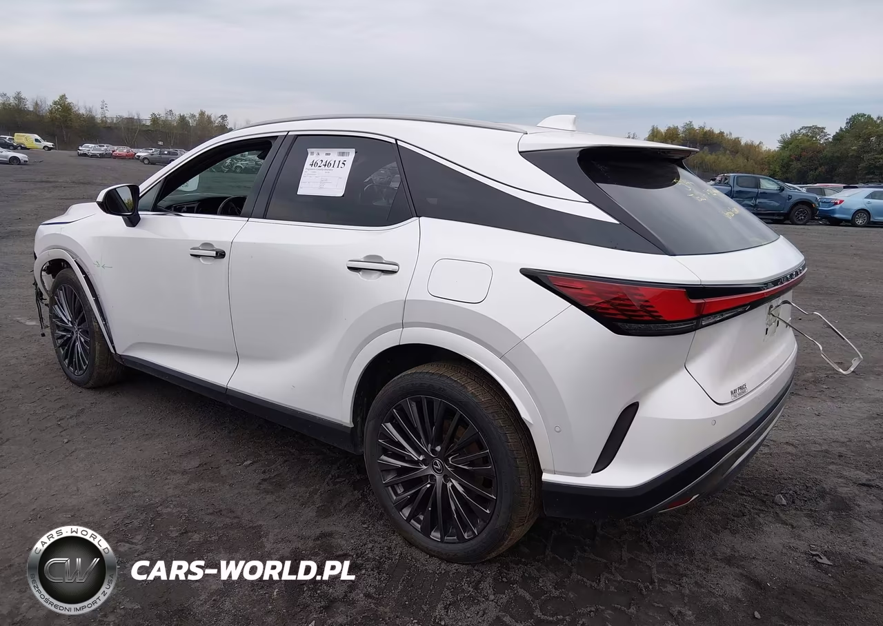 2023 Lexus Rx 350 Luxury VIN:2T2BAMCA5PC029572 - 3