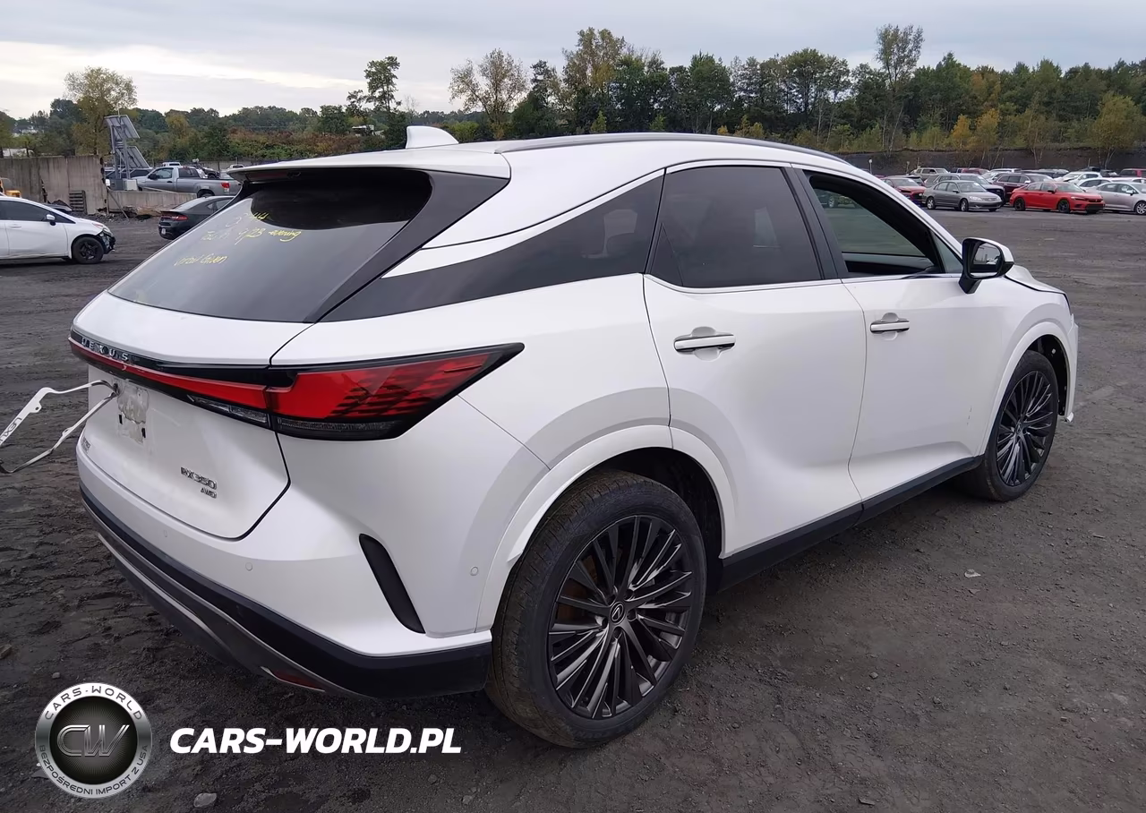 2023 Lexus Rx 350 Luxury VIN:2T2BAMCA5PC029572 - 4