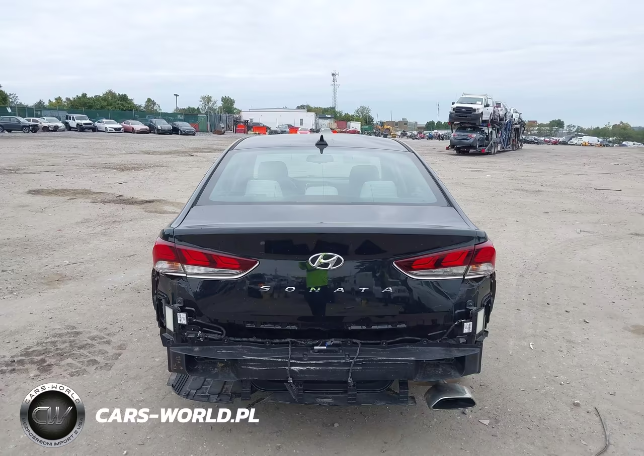 2019 Hyundai Sonata Sel VIN:5NPE34AF5KH821544 - 16