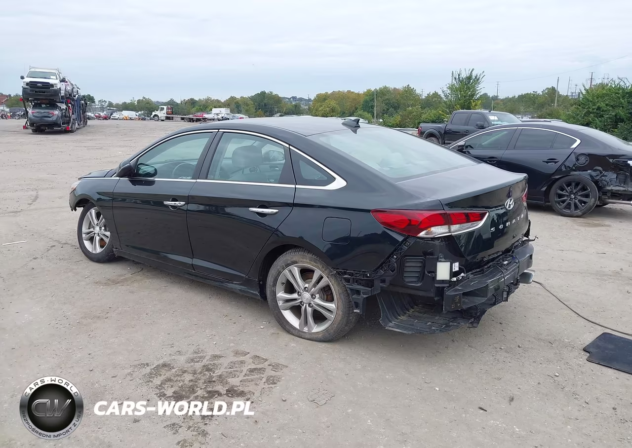 2019 Hyundai Sonata Sel VIN:5NPE34AF5KH821544 - 3