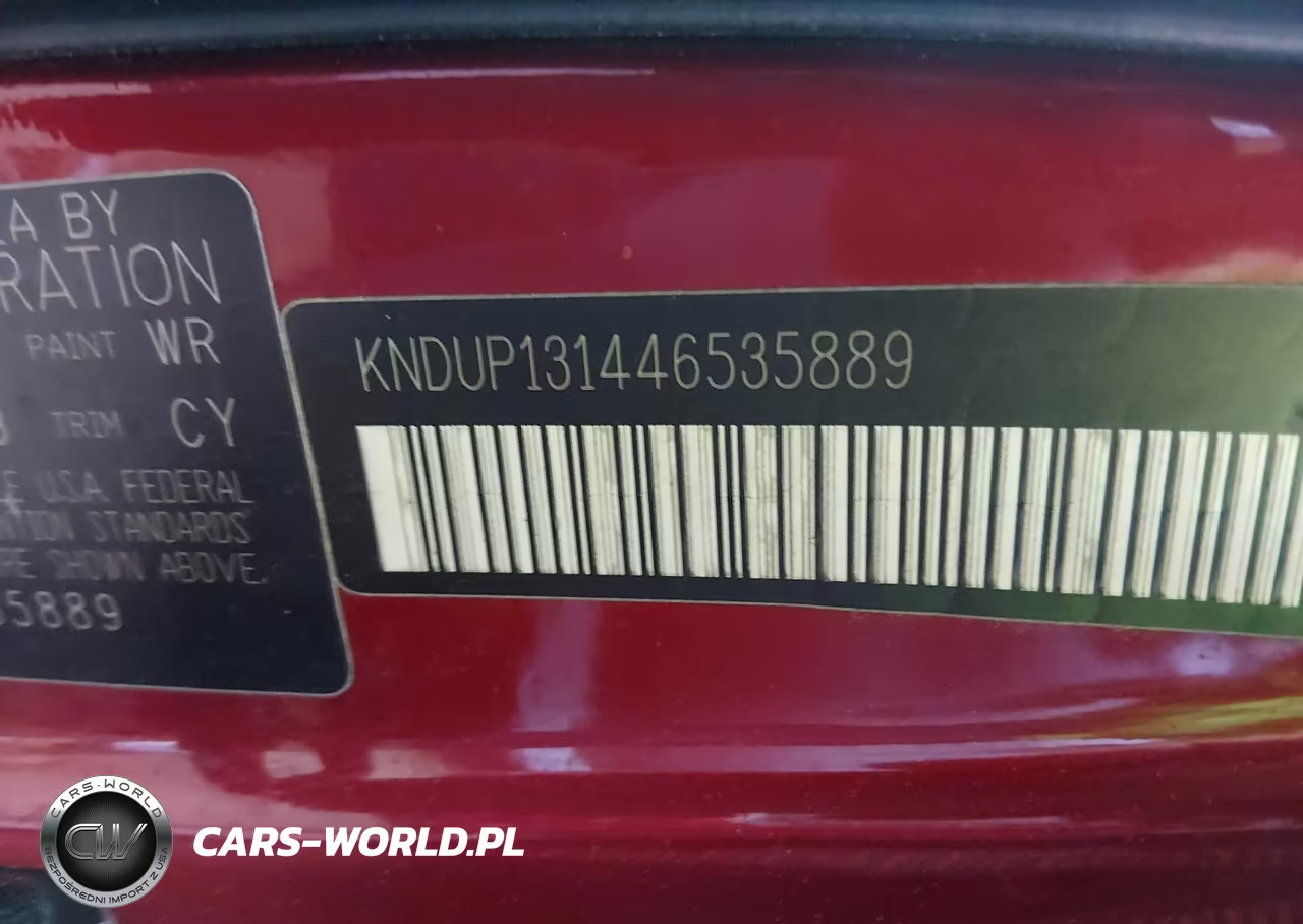 2004 Kia Sedona Ex-Lx VIN:KNDUP131446535889 - 9