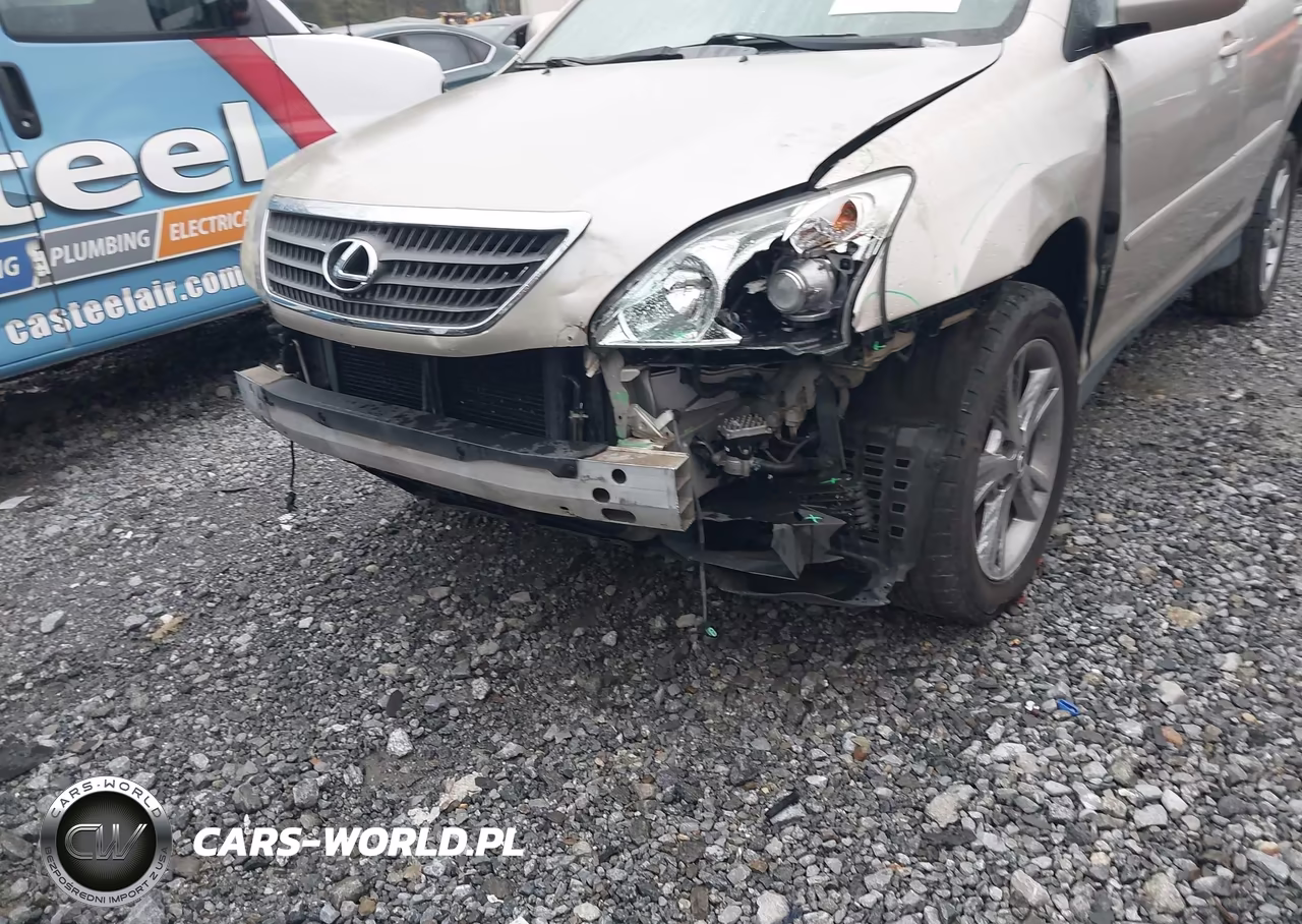 2006 Lexus Rx 400H VIN:JTJHW31U760009675 - 6