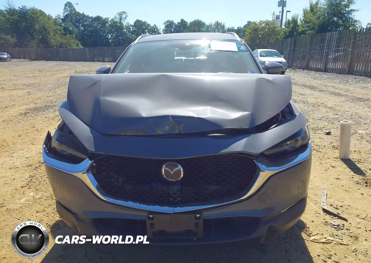 2020 Mazda Cx-30 Premium Package VIN:3MVDMAEM3LM100732 - 12