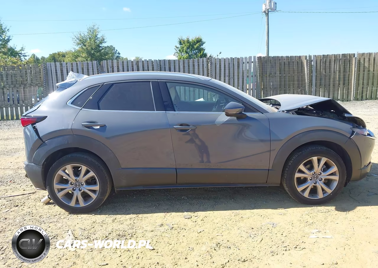 2020 Mazda Cx-30 Premium Package VIN:3MVDMAEM3LM100732 - 13