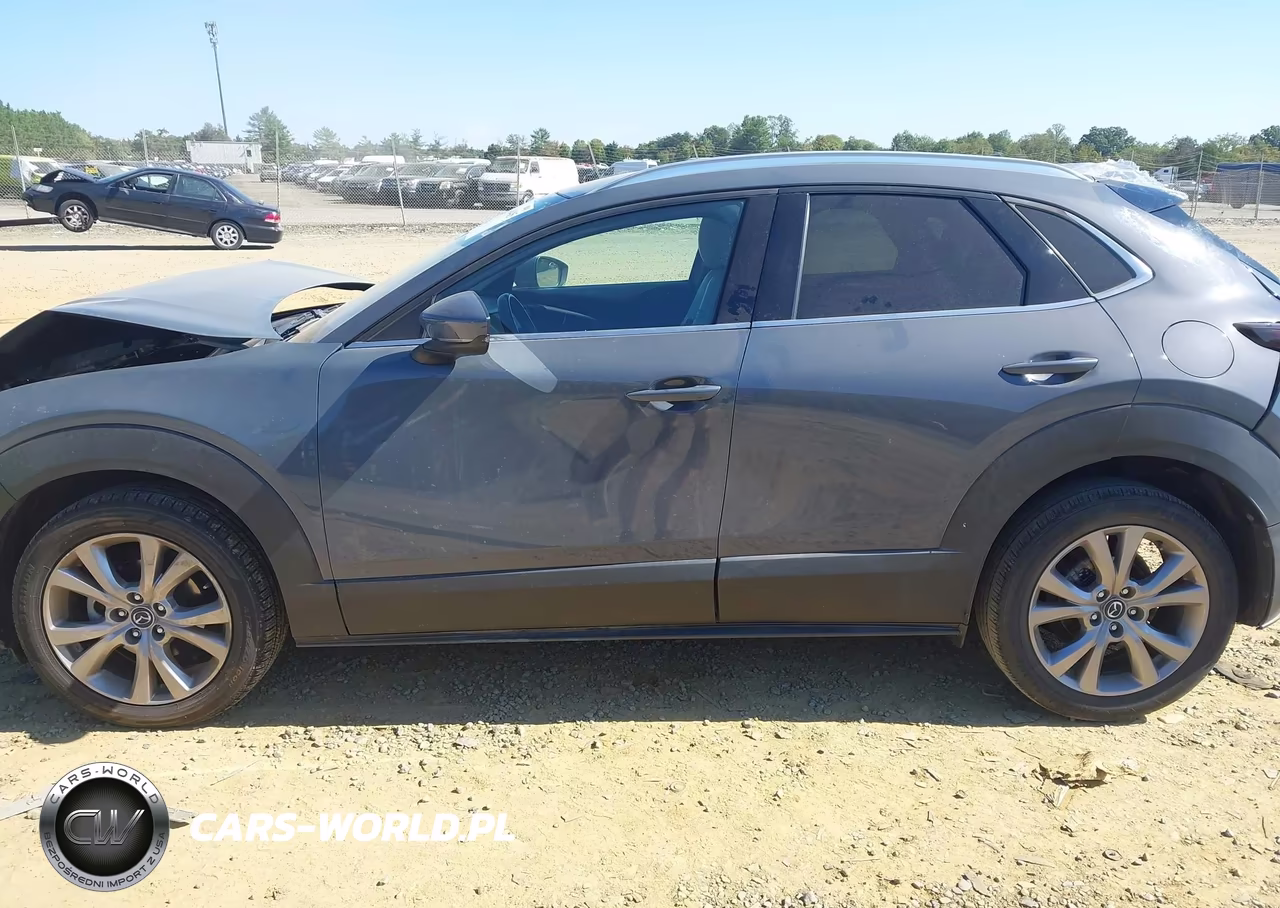 2020 Mazda Cx-30 Premium Package VIN:3MVDMAEM3LM100732 - 14