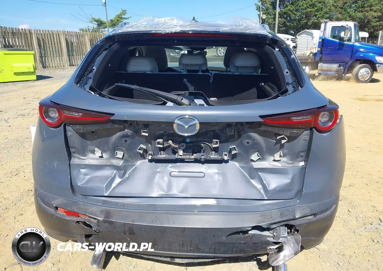 2020 Mazda Cx-30 Premium Package VIN:3MVDMAEM3LM100732 - 16
