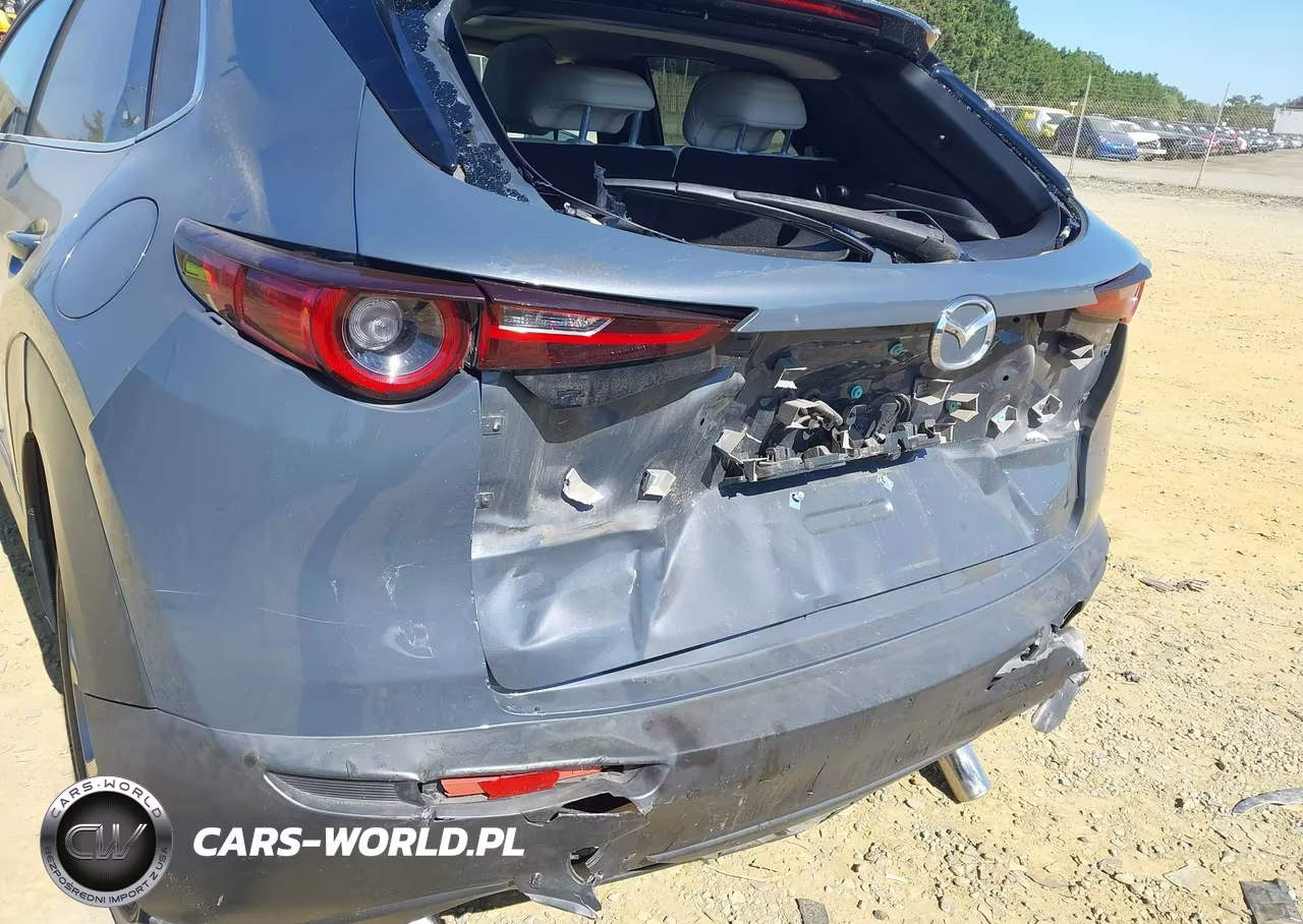 2020 Mazda Cx-30 Premium Package VIN:3MVDMAEM3LM100732 - 17