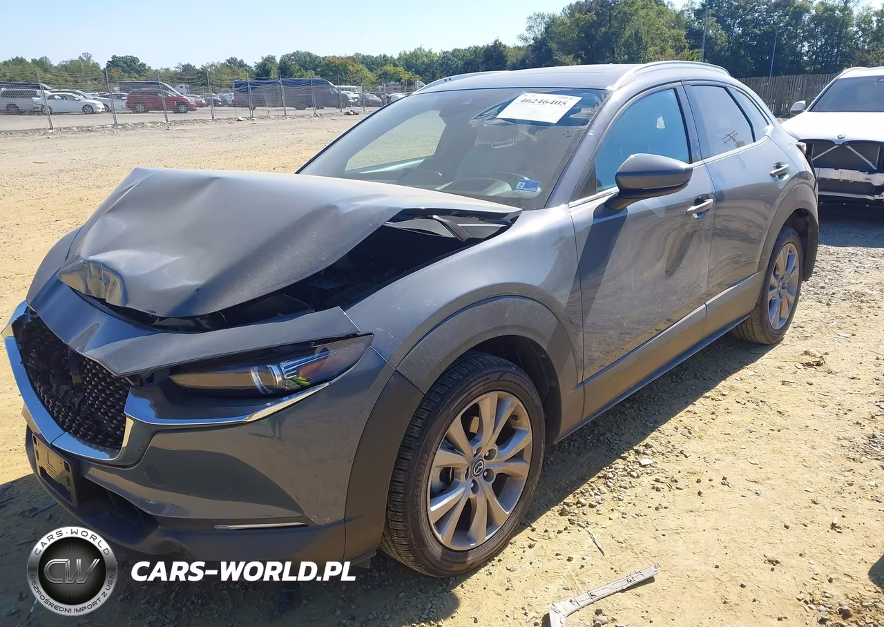 2020 Mazda Cx-30 Premium Package VIN:3MVDMAEM3LM100732 - 2
