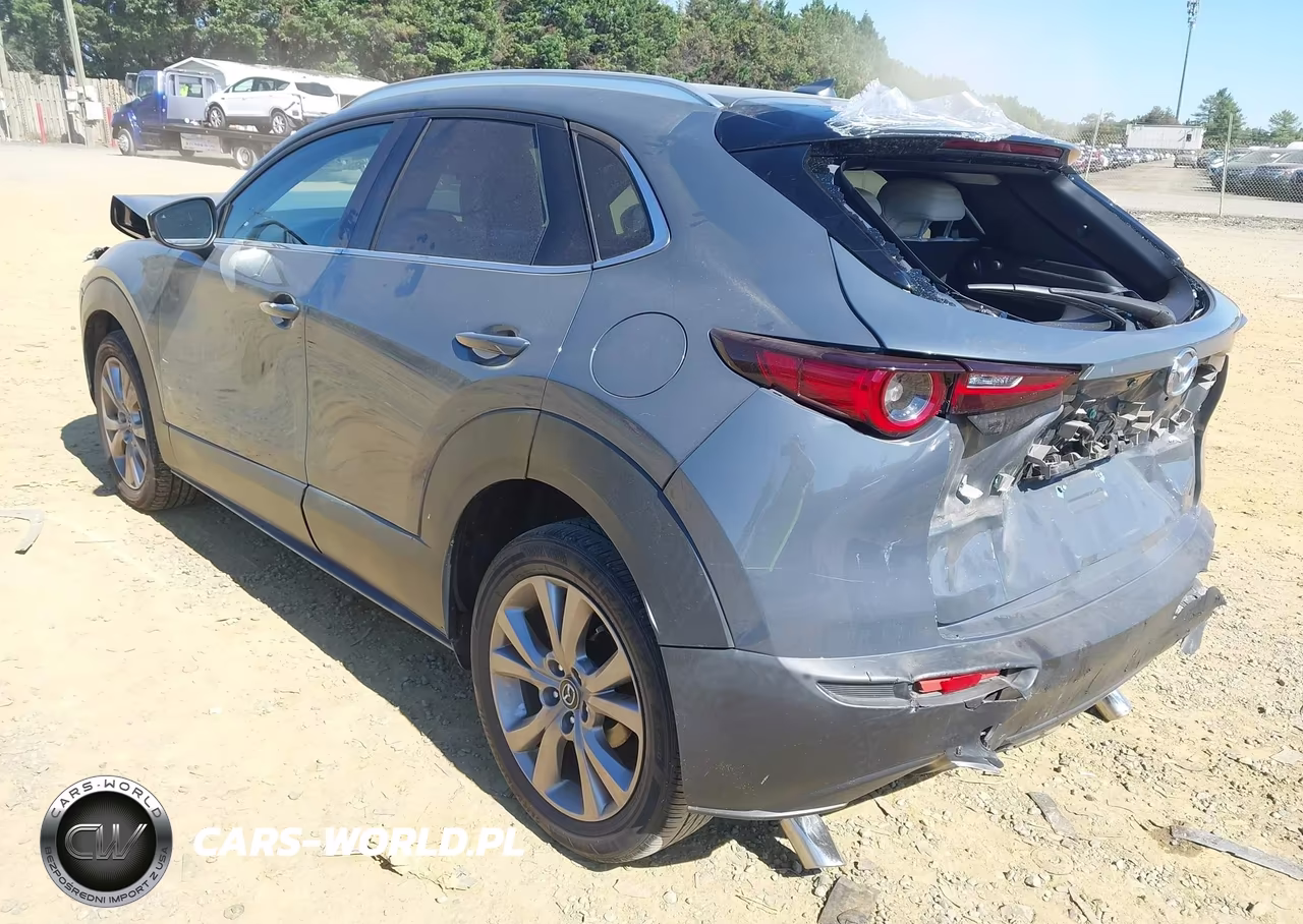 2020 Mazda Cx-30 Premium Package VIN:3MVDMAEM3LM100732 - 3
