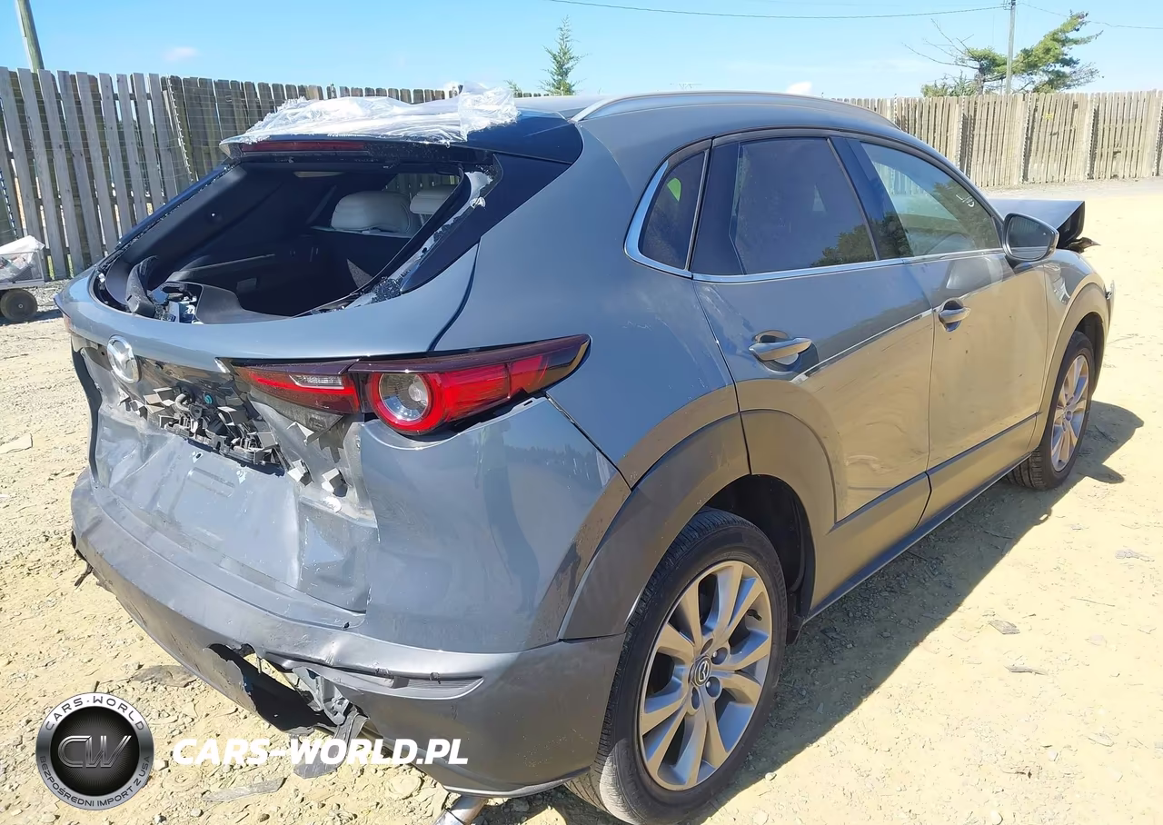 2020 Mazda Cx-30 Premium Package VIN:3MVDMAEM3LM100732 - 4