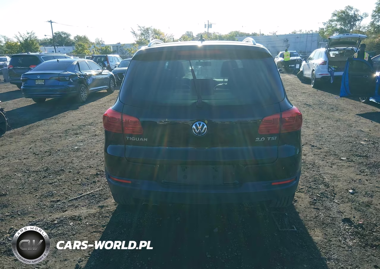 2013 Volkswagen Tiguan Se VIN:WVGAV7AXXDW536107 - 17
