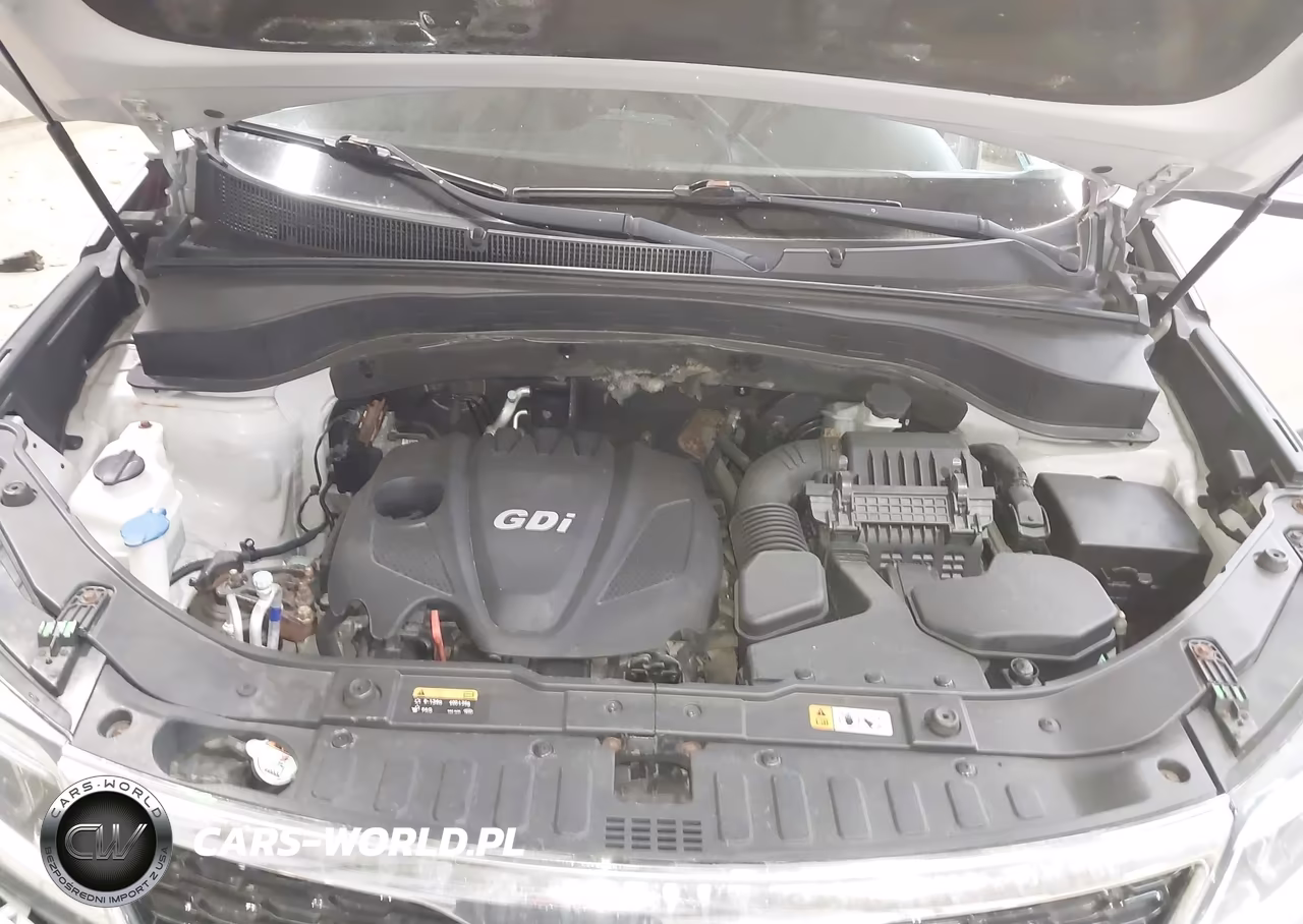 2014 Kia Sorento Lx VIN:5XYKTCA65EG538084 - 10