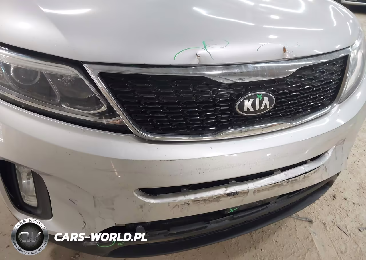 2014 Kia Sorento Lx VIN:5XYKTCA65EG538084 - 12