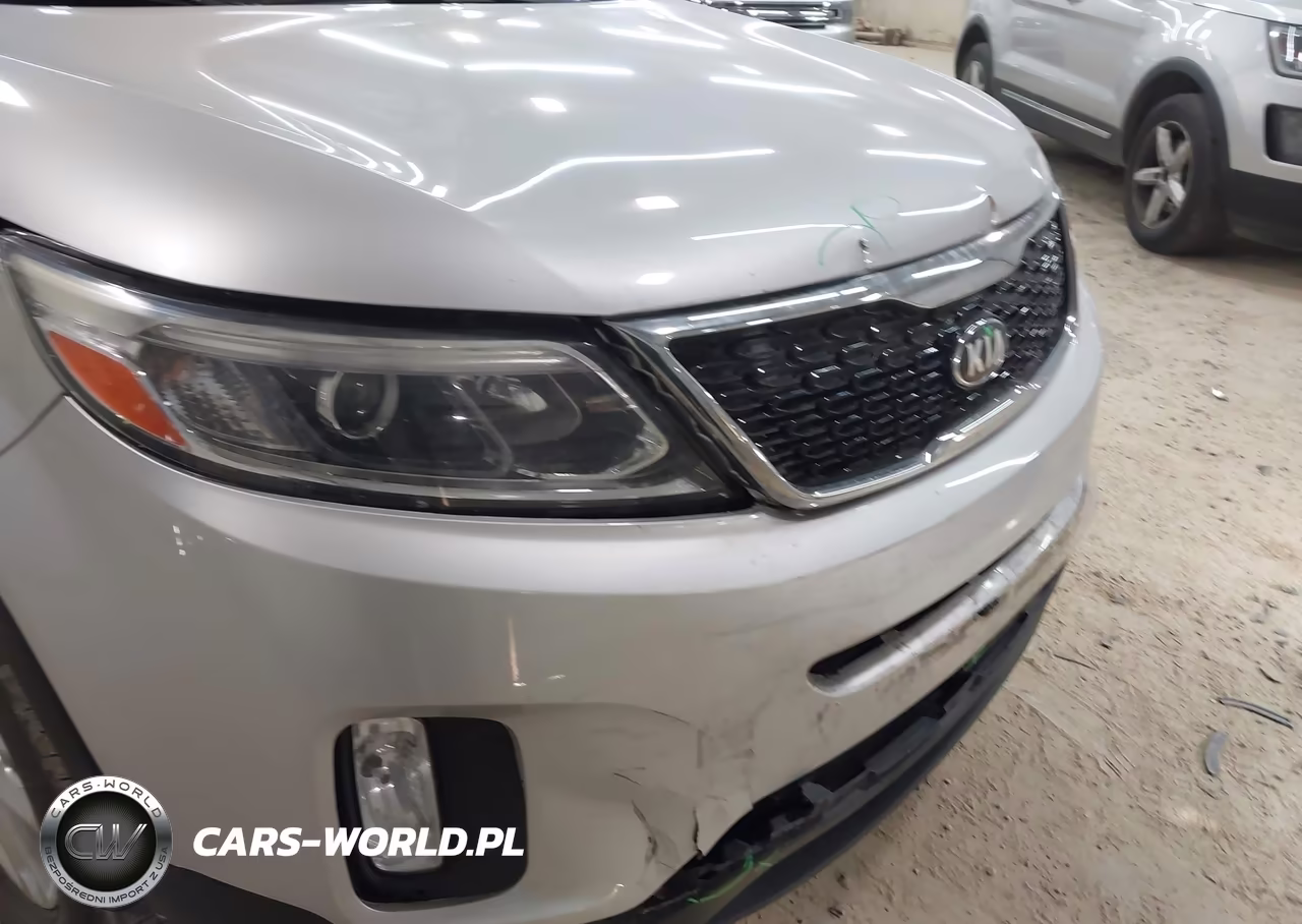 2014 Kia Sorento Lx VIN:5XYKTCA65EG538084 - 13
