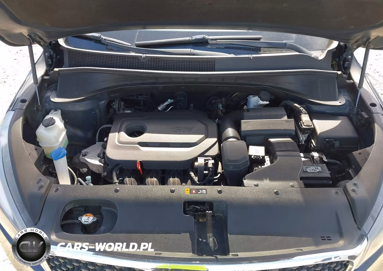 2016 Kia Sorento 2.4L Lx VIN:5XYPGDA39GG062611 - 10