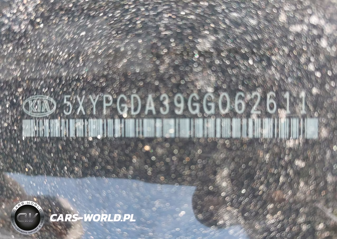 2016 Kia Sorento 2.4L Lx VIN:5XYPGDA39GG062611 - 17